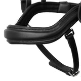 Horze Highbury Anatomical Crystal Dressage Bridle - Black