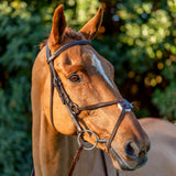 Equinavia Saga Fancy Stitched Figure 8 Bridle & Reins - Chocolate Brown