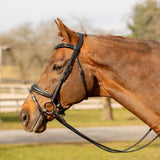 Equinavia Valkyrie Anatomic Dressage Bridle with Rubber Reins - Black