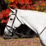 Equinavia Valkyrie Flash Bridle & Rubber Reins - Chocolate Brown