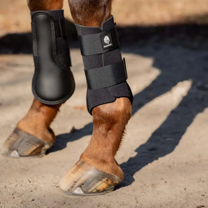 Equinavia Balder Brushing Boots - Black