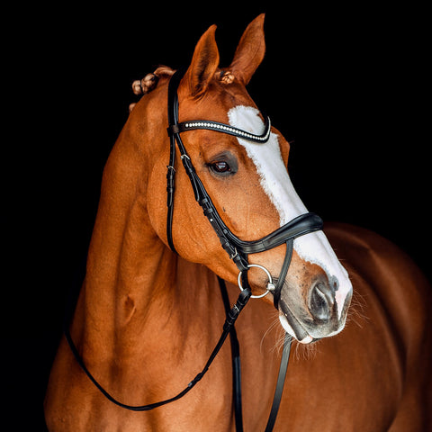 Horze Luton Preassure Release Bridle- Black or Dark Brown