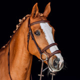 Horze Perth Soft Lined Anatomical Bridle- Black or Brown available