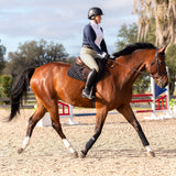 Equinavia Martha Womens Long Sleeved Show Shirt - Navy/White