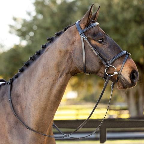 Equinavia Saga Padded Dressage Bridle & Reins - Black