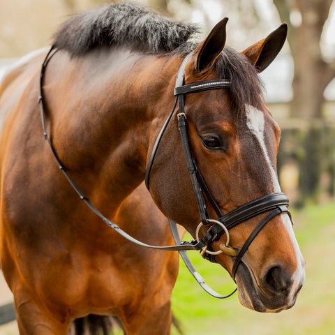 Equinavia Saga Dressage Crank Noseband Bridle & Reins