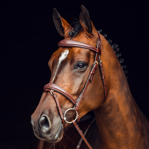 Horze Sion Bridle with Reins- Black or Brown