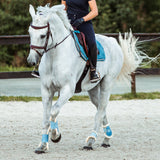 Horze Sion Bridle with Reins- Black or Brown
