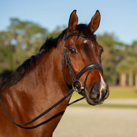 Equinavia Valkyrie Anatomic Dressage Bridle with Rubber Reins - Black