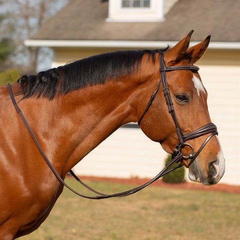 Equinavia Valkyrie Anatomic Jumper Bridle with Rubber Reins - Chocolate Brown