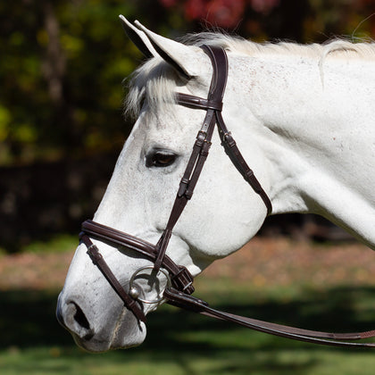 Equinavia Valkyrie Flash Bridle & Rubber Reins - Chocolate Brown