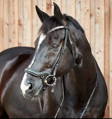 Horze Highbury Anatomical Crystal Dressage Bridle- Black