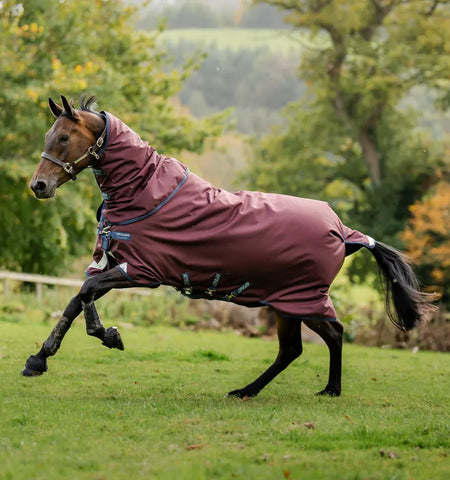 Amigo® Bravo 12 Plus Turnout 100g- Burgundy/ Navy & Titanium Grey