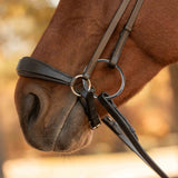 Equinavia Saga Drop Noseband Bridle with Web Rubber Reins - Black