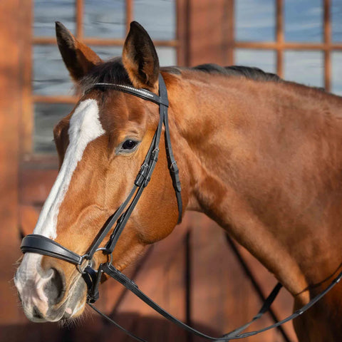Equinavia Saga Drop Noseband Bridle with Web Rubber Reins - Black