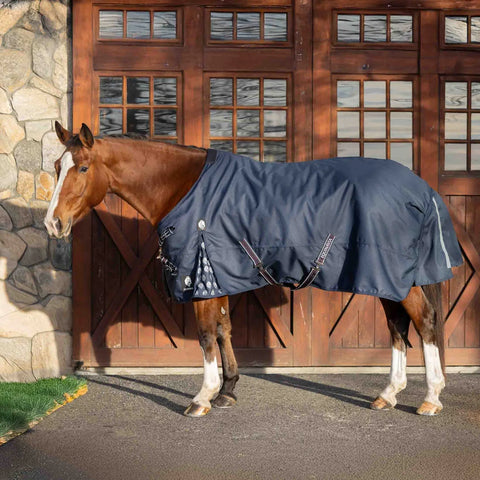 Equinavia Arktis TransitionFlex Turnout Blanket with Neck- Navy
