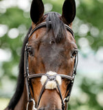Horseware® Figure 8 Grackle Bridle