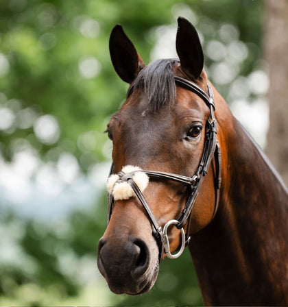 Horseware® Figure 8 Grackle Bridle