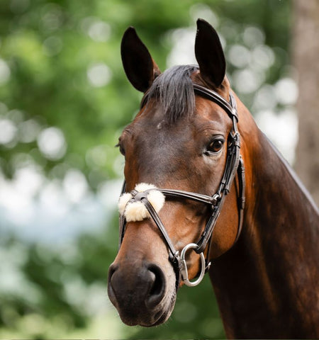 Horseware® Figure 8 Grackle Bridle