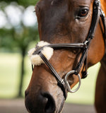 Horseware® Figure 8 Grackle Bridle