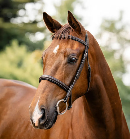 Horseware® Hunter Bridle- Havana Brown