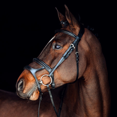 Horze Perth Soft Lined Anatomical Bridle- Black or Brown available