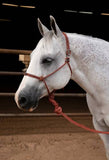 PROFESSIONAL CHOICE EASY ON ROPE HALTER