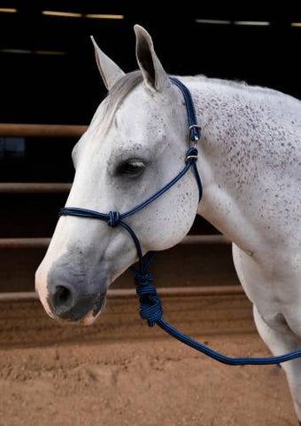 PROFESSIONAL CHOICE EASY ON ROPE HALTER